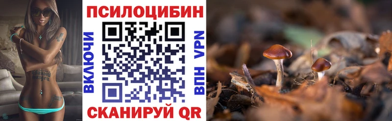 Купить закладки  Среднеуральск  Галлюциногенные грибы MAGIC MUSHROOMS 